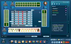 внешний вид игры Бридж